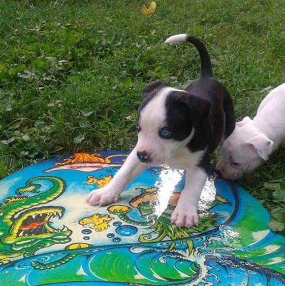 Meet your Posher, Kristine - Picture 3 of 3